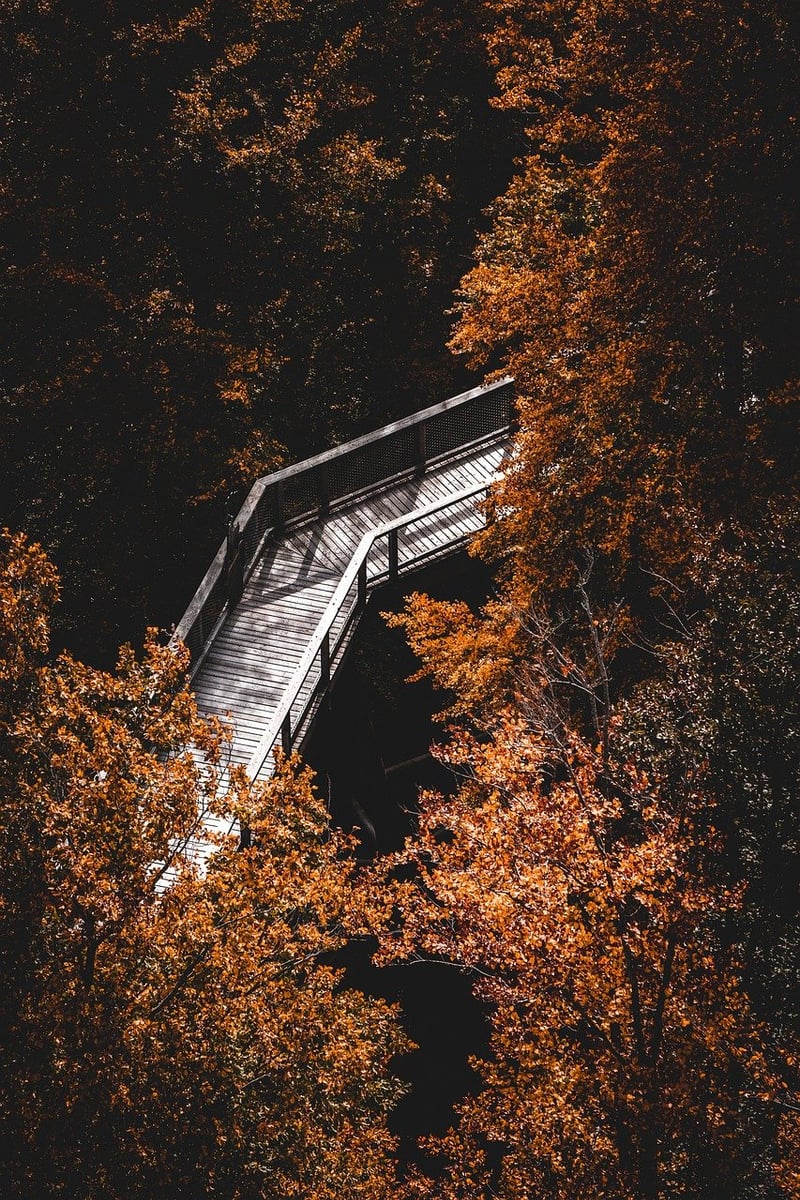 Mindful Journeys